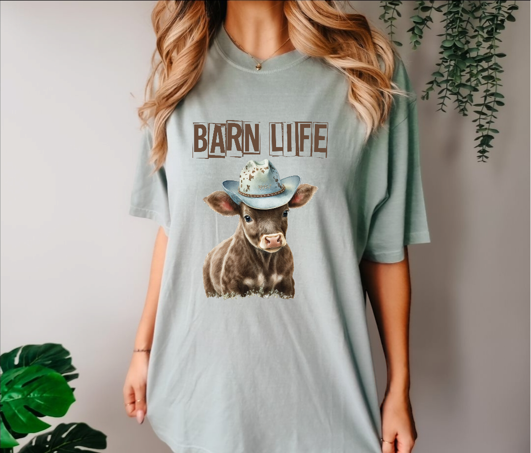 BARN LIFE COW