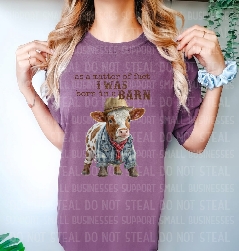 Born In A Barn Shirts